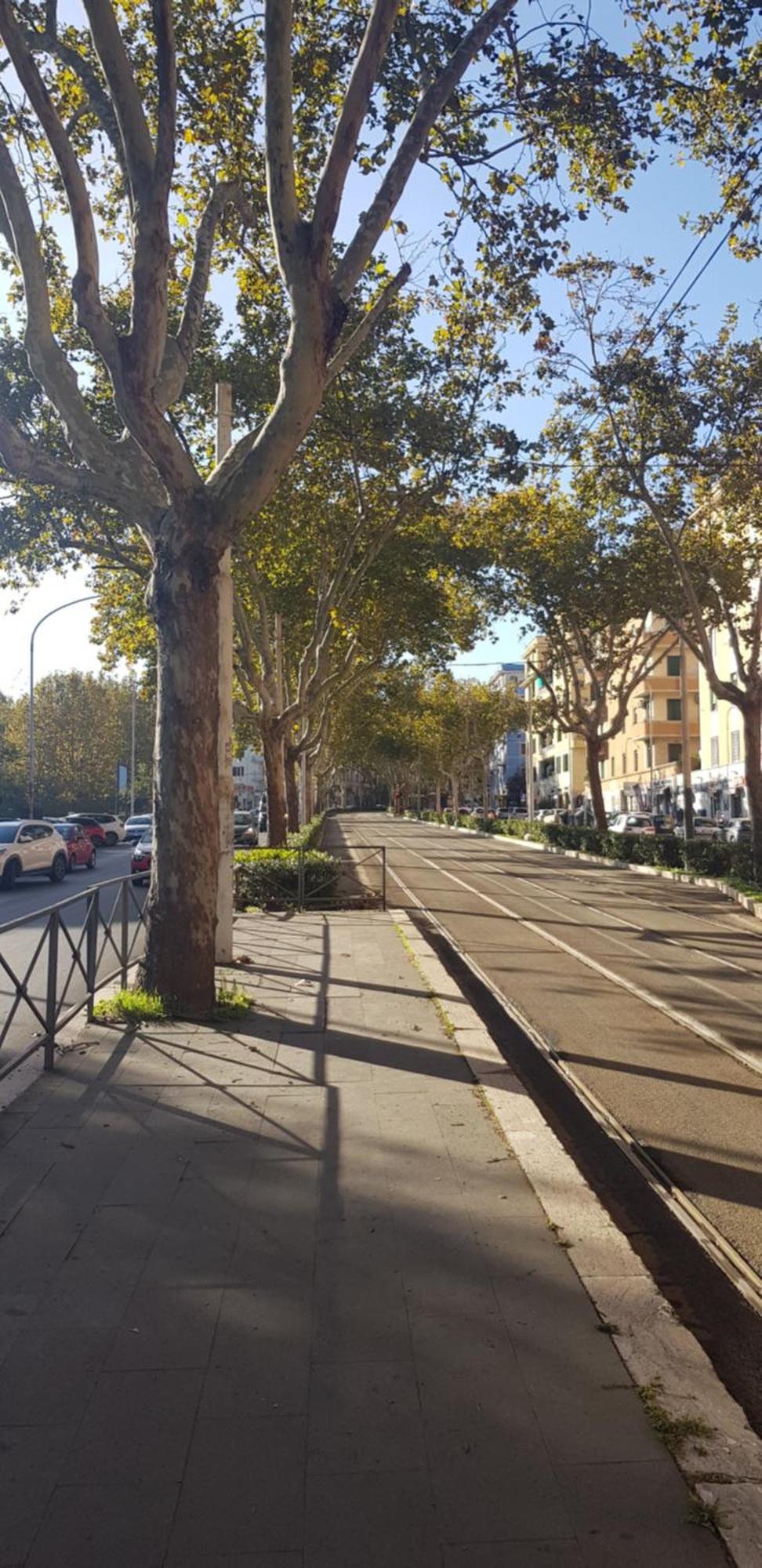 Trastevere Residenze Rzym Zewnętrze zdjęcie